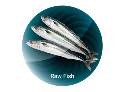 Raw Fish