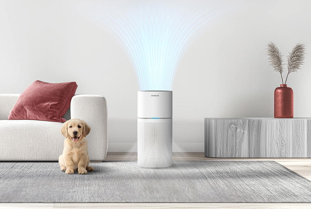 Hitachi Twin Tub Washing Machine