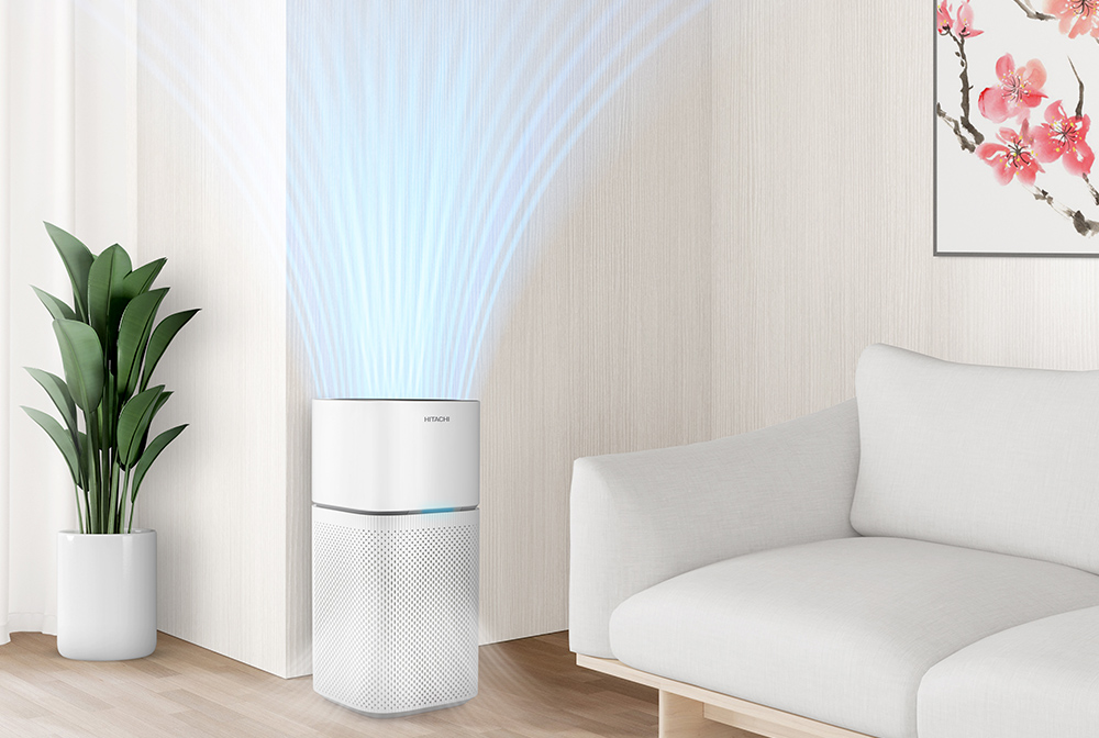 Hitachi Twin Tub Washing Machine