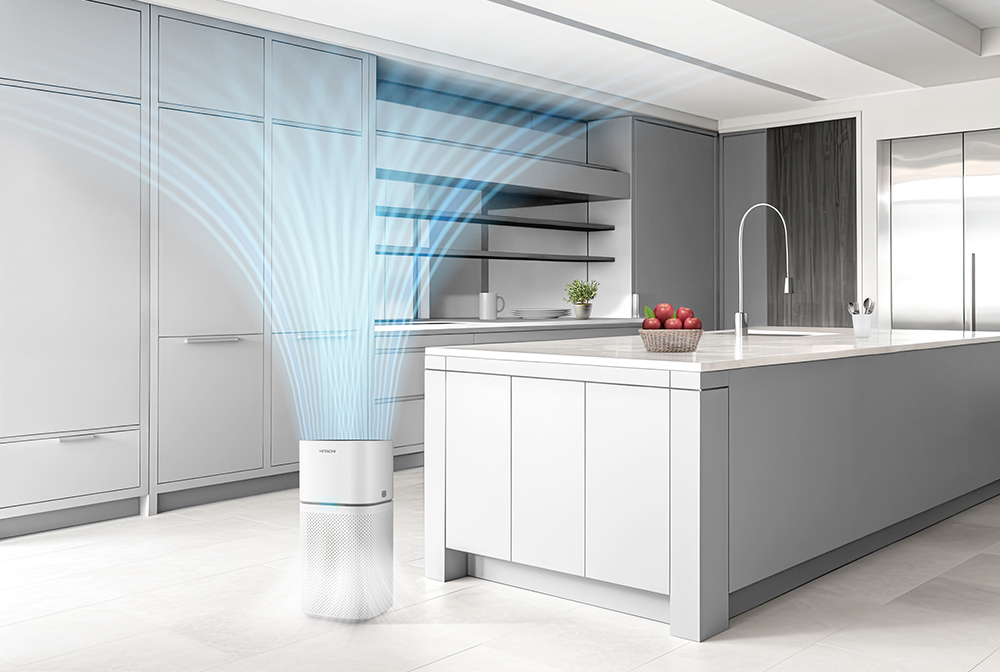 Hitachi Twin Tub Washing Machine